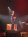 GoethesErben2003-08_vig.jpg (712 octets)