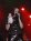 GoethesErben2003-14_vig.jpg (830 octets)