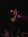 GoethesErben2003-18_vig.jpg (567 octets)