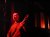 GoethesErben2004-07_vig.JPG (963 octets)