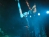 GoethesErben2006-13_vig.jpg (2216 octets)
